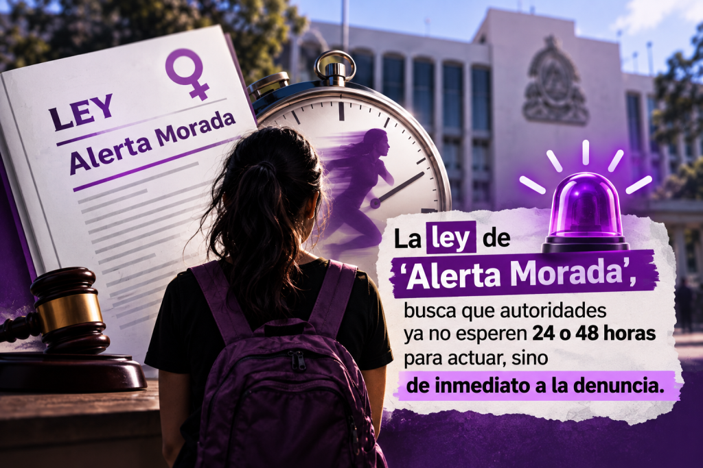Ley Alerta Morada