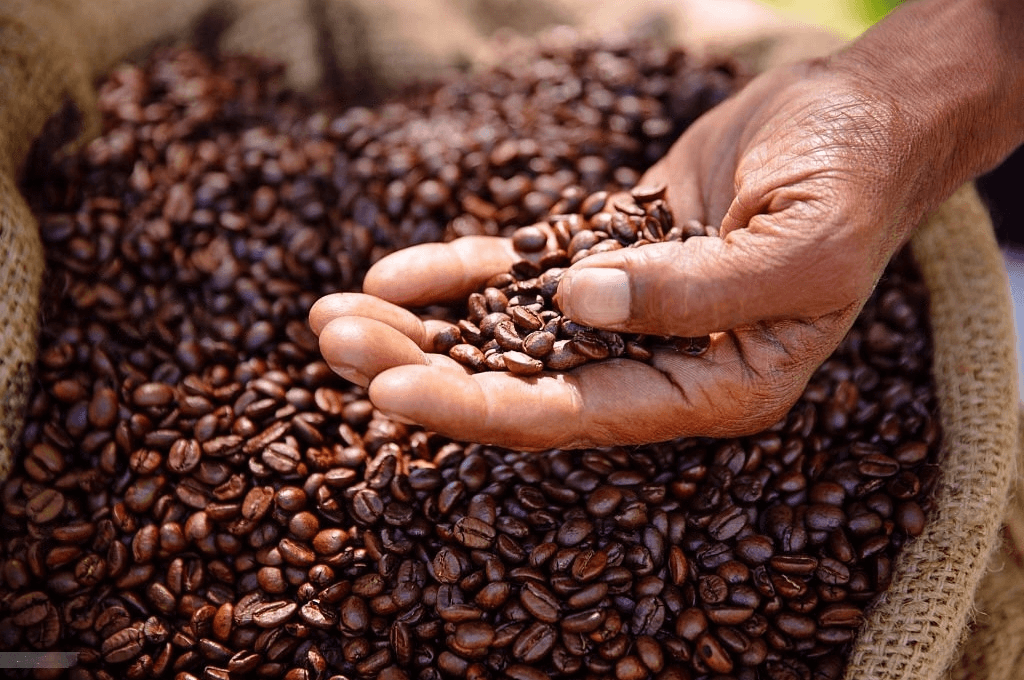 café hondureño
