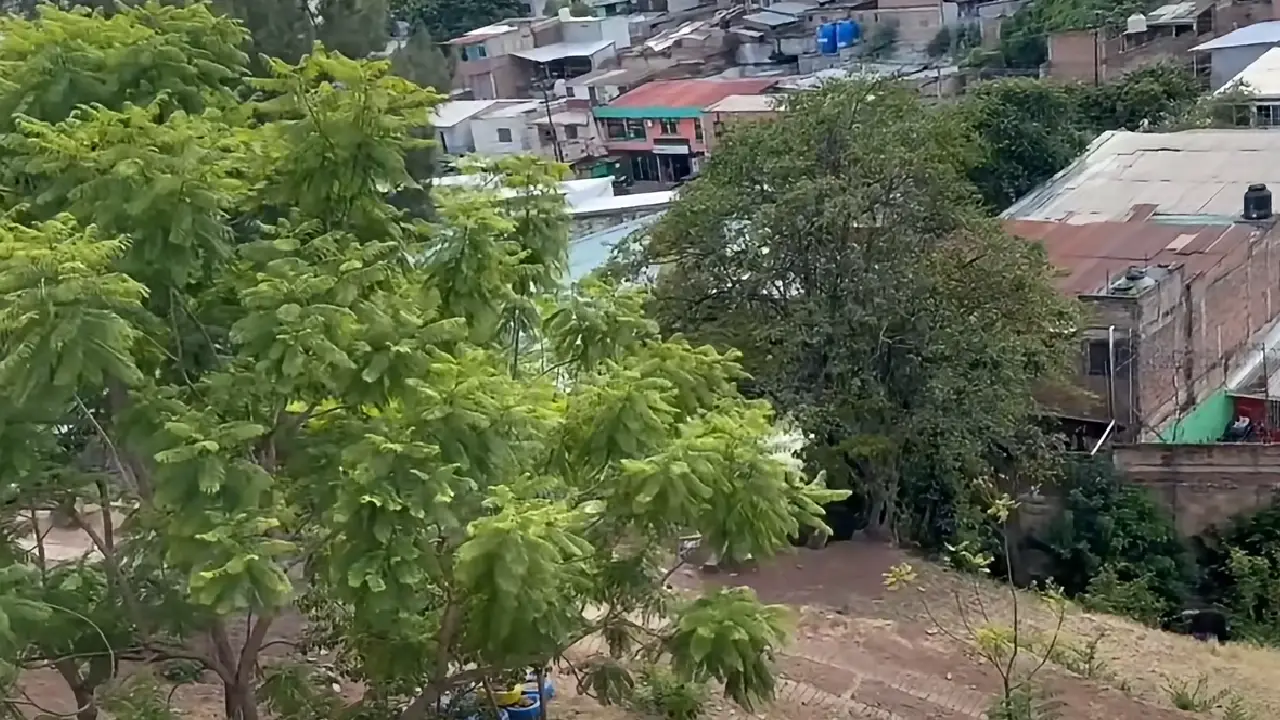 Zona de colegio Juan Pablo