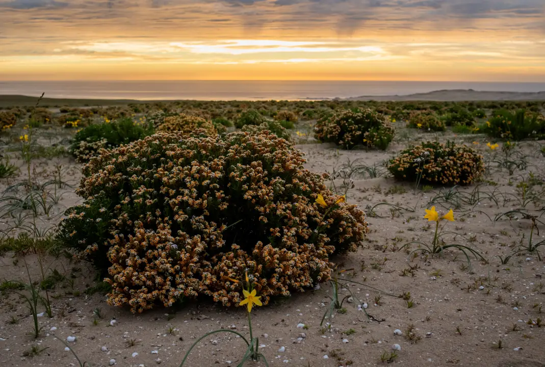 desierto de atacama