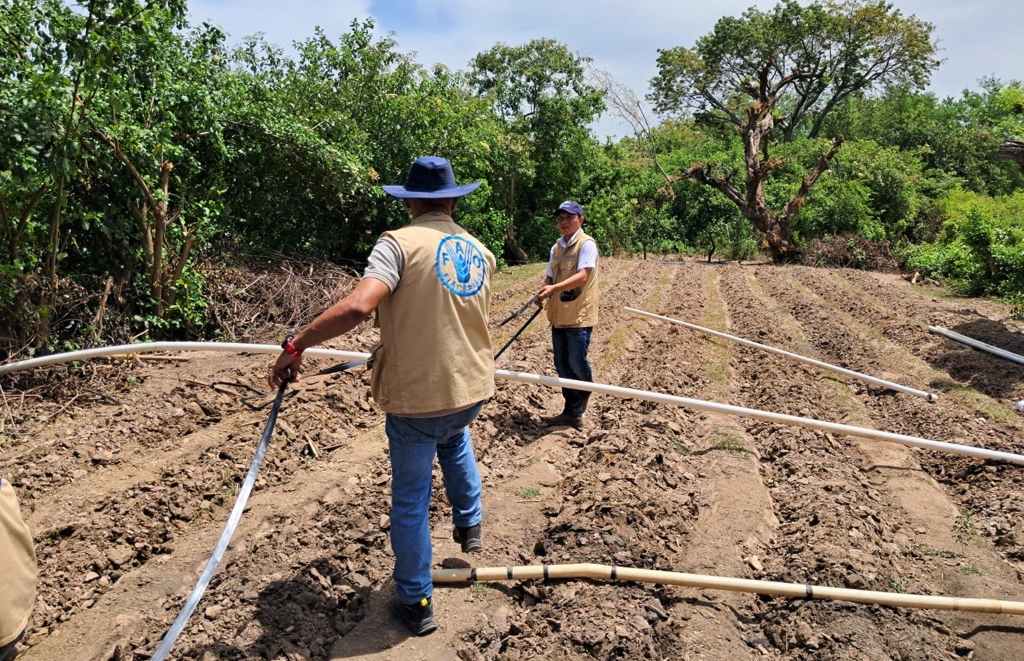 medidas agua