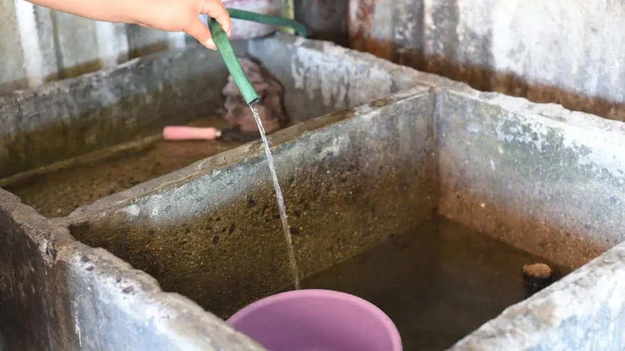 pileta llena de agua