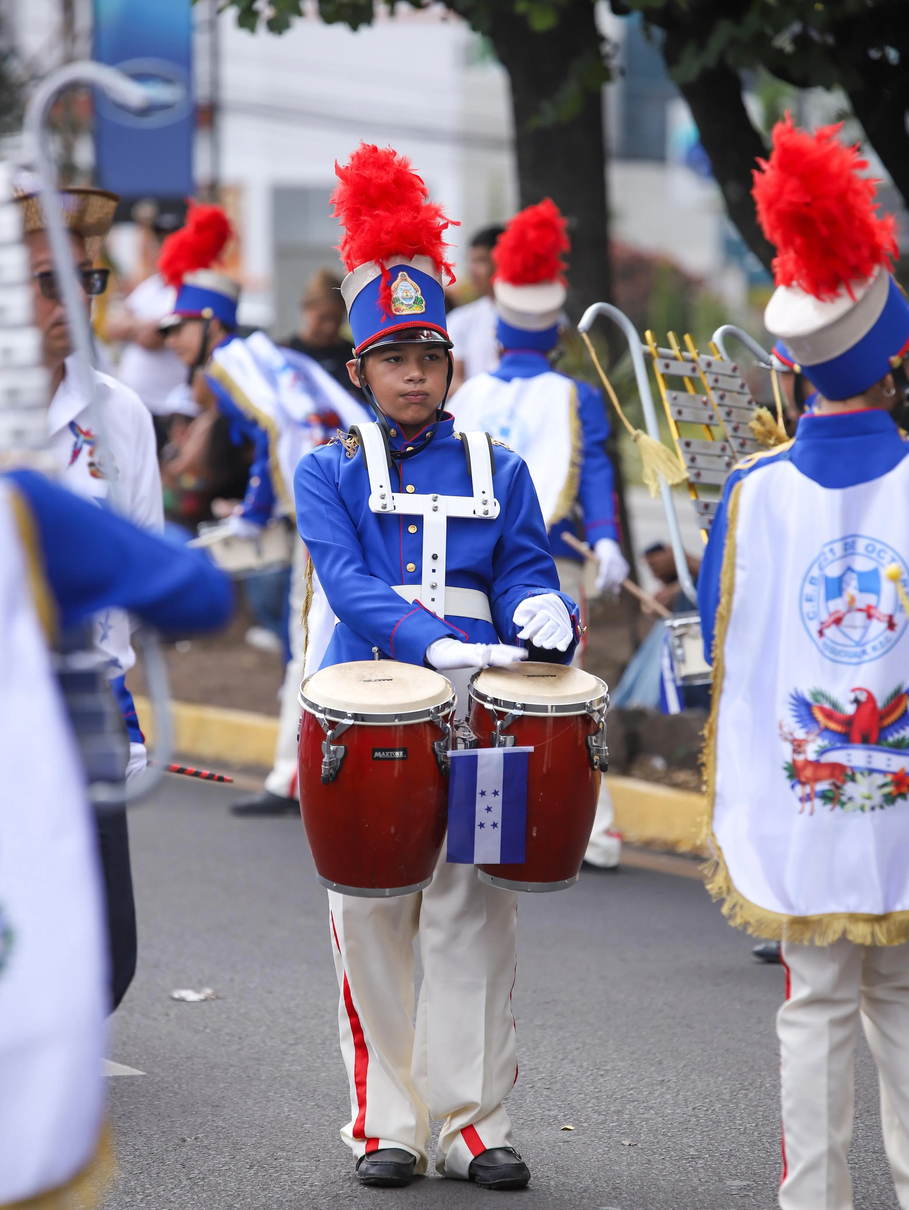 Imagen de Galería