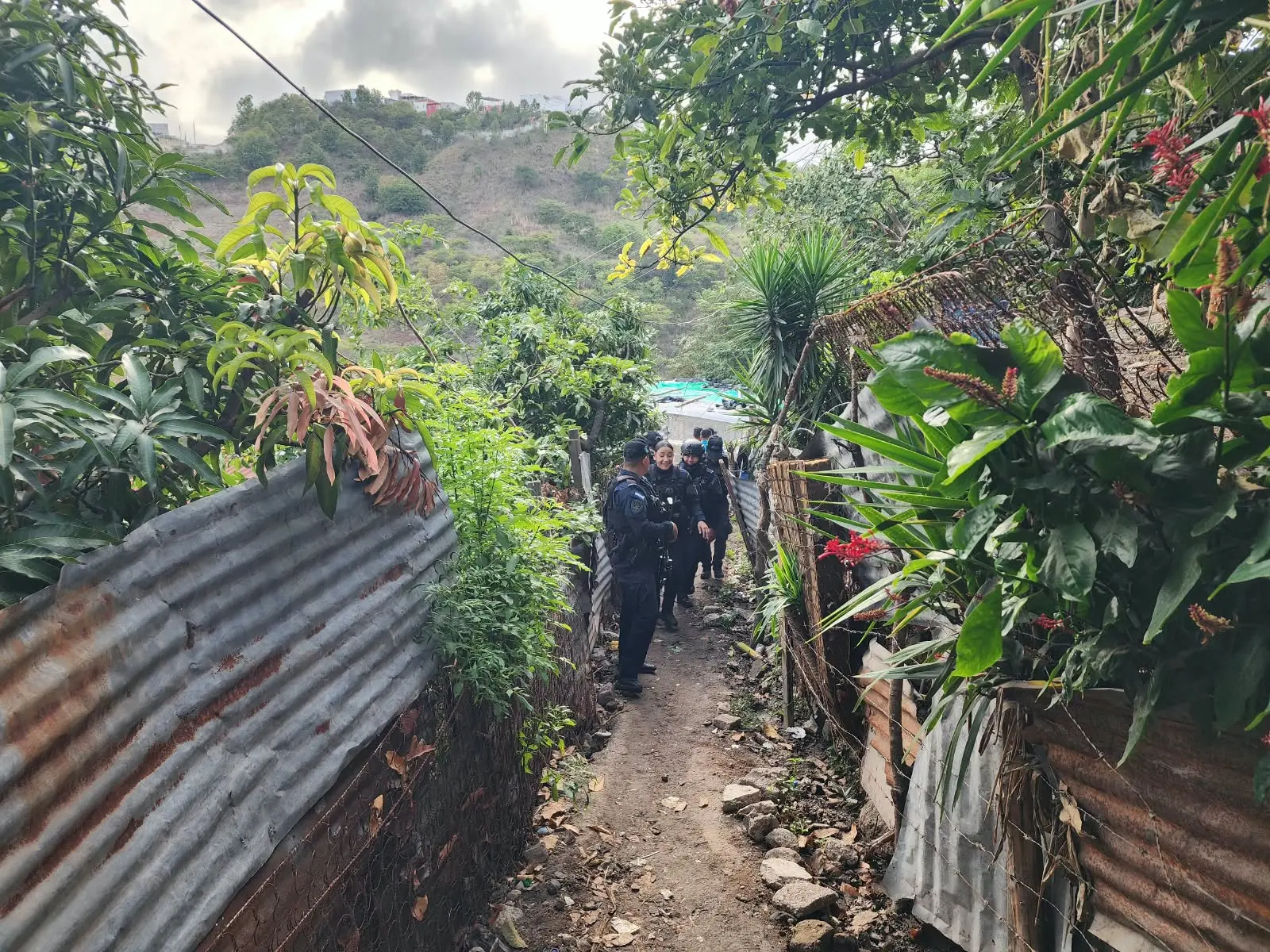 policias