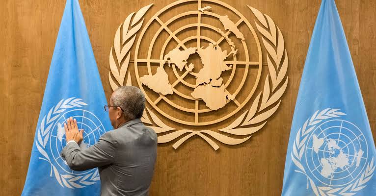 onu persona banderas oro