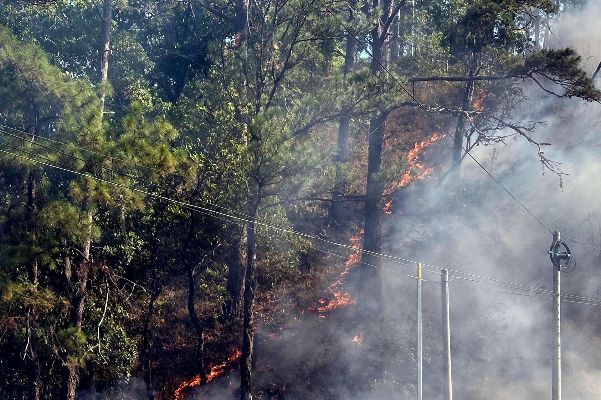 Fotografía del 23 de mayo de 2026 que muestra un incendio forestal en un bosque en Olancho. Foto: cortesía de EFE