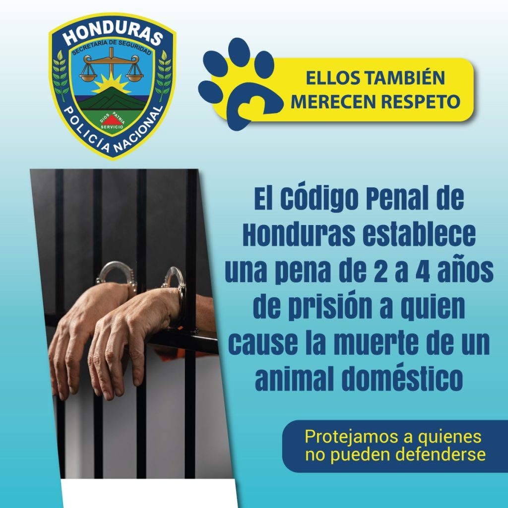 la denuncia