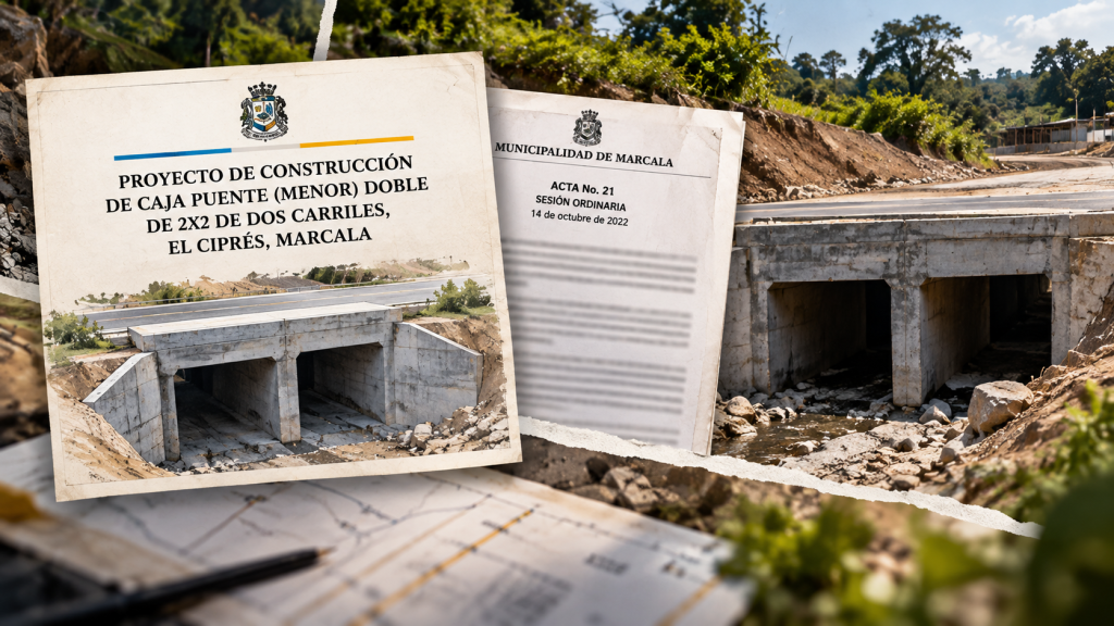 los proyectos