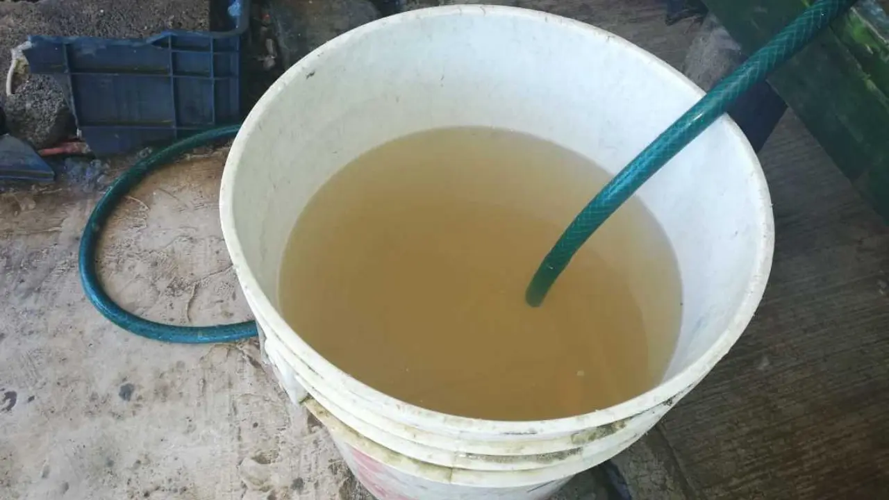 ¿Qué hacer si el agua potable llega con mal color u olor? Imagen de ¿Qué hacer si el agua potable llega con mal color u olor?