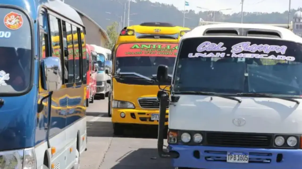 GPS y botones de pánico: nuevos dispositivos de seguridad en el transporte urbano Imagen de GPS y botones de pánico: nuevos dispositivos de seguridad en el transporte urbano