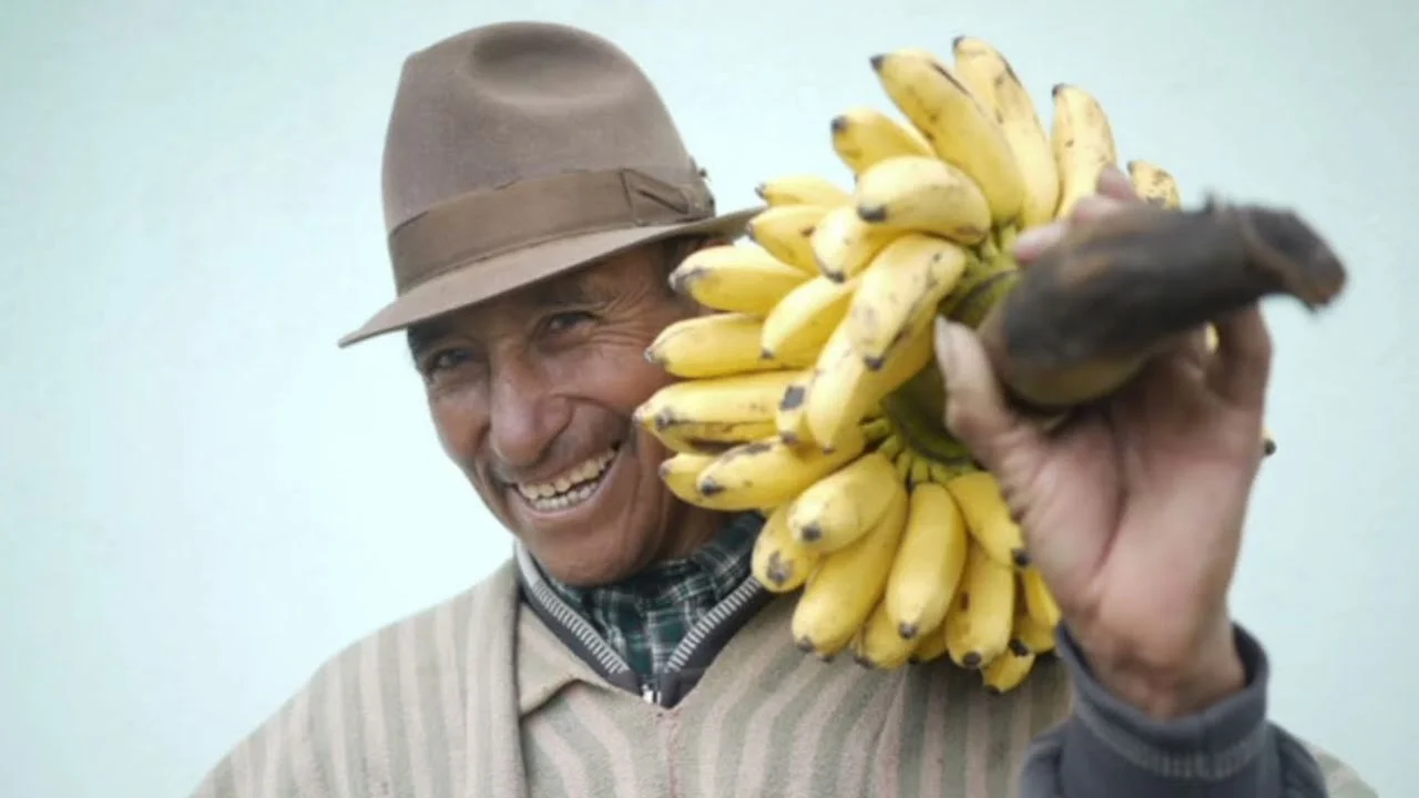 El Bananero letra: historia, origen y autora de la canción hondureña Imagen de El Bananero letra: historia, origen y autora de la canción hondureña