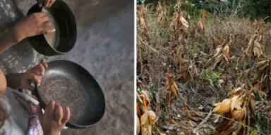 Imagen de Estas graves enfermedades volvieron a aparecer en niños de Honduras tras meses de sequía