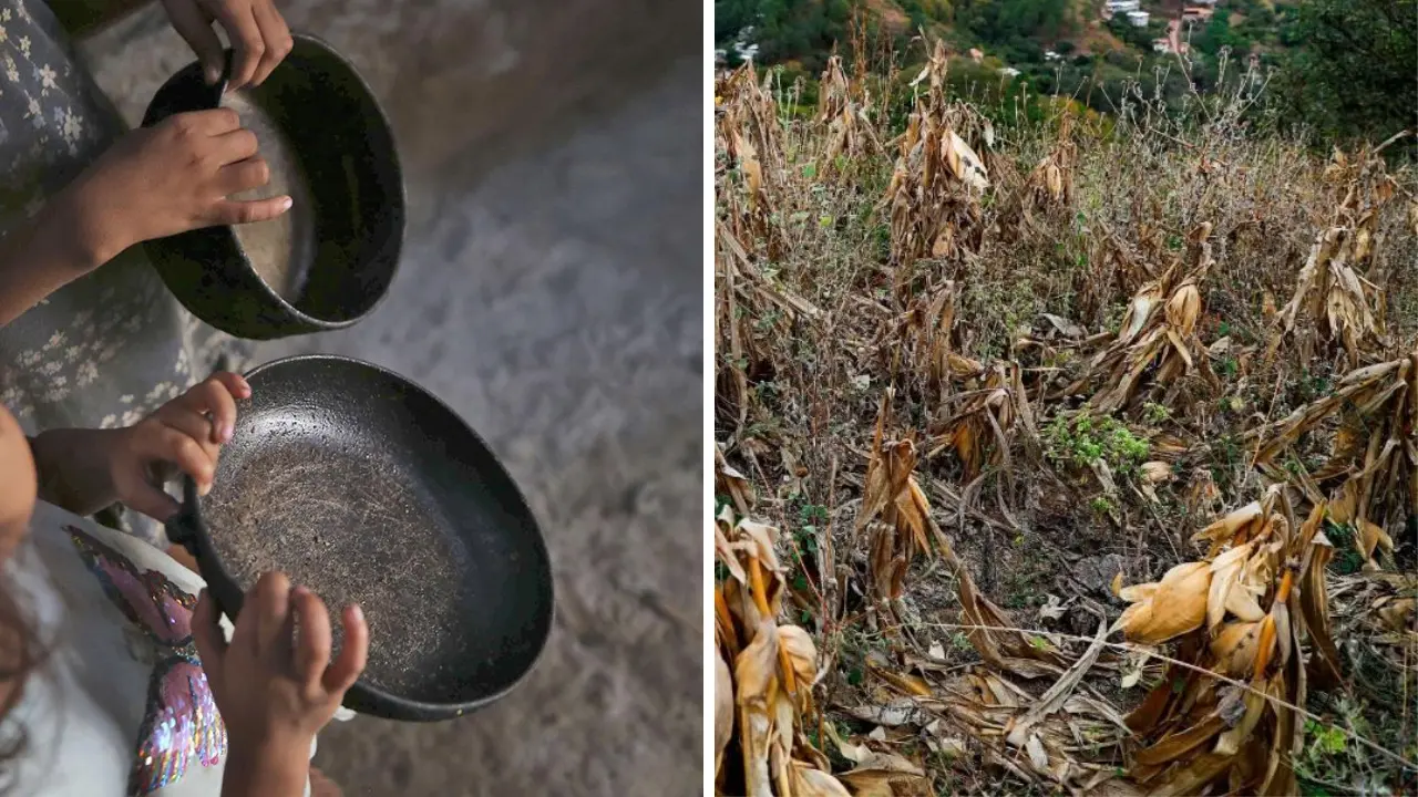 Imagen de Estas graves enfermedades volvieron a aparecer en niños de Honduras tras meses de sequía
