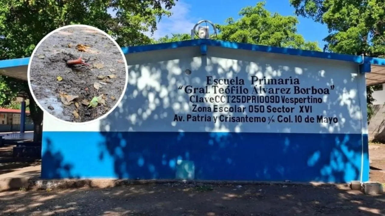 Madre muere electrocutada cuando recogía a su hijo en escuela Imagen de Madre muere electrocutada cuando recogía a su hijo en escuela