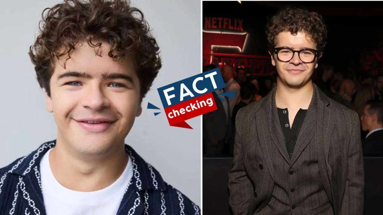 ¿Gaten Matarazzo murió? ¿Qué le pasó? ¿Por qué circula esta noticia falsa? Imagen de ¿Gaten Matarazzo murió? ¿Qué le pasó? ¿Por qué circula esta noticia falsa?