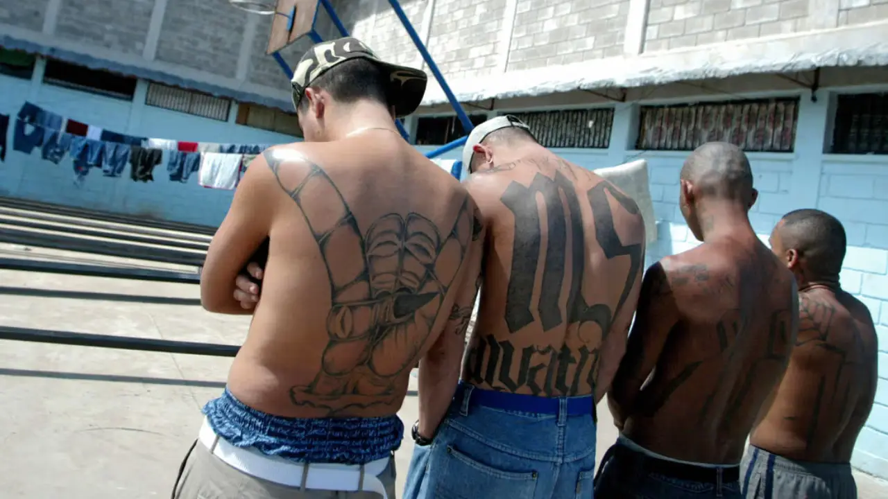 Los grupos declarados terroristas en Honduras: estas serán las medidas en prisión Imagen de Los grupos declarados terroristas en Honduras: estas serán las medidas en prisión