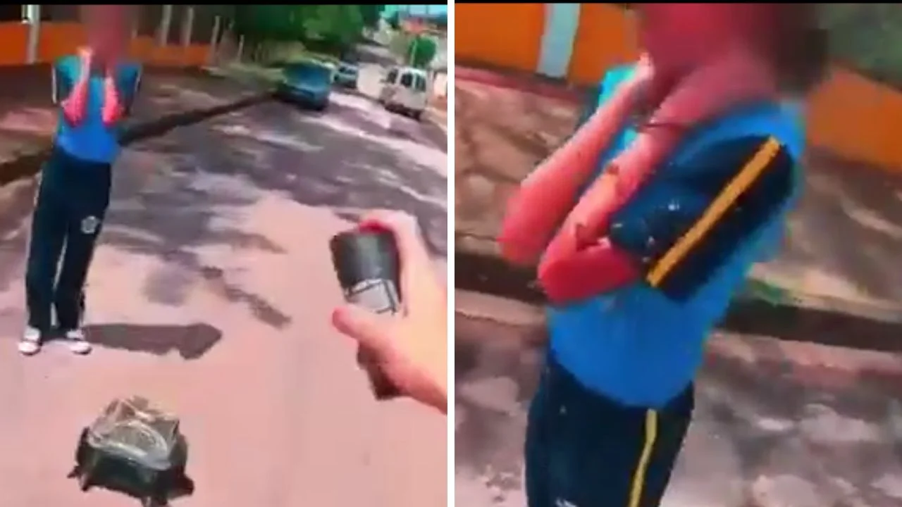 Video impactante: repartidor salva a niña de enjambre de abejas Imagen de Video impactante: repartidor salva a niña de enjambre de abejas