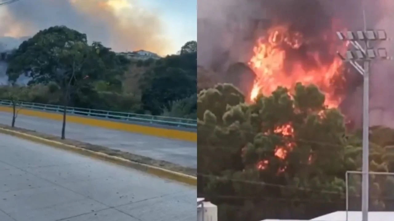 Se registra pavoroso incendio en colonia Rivera de la Vega, cerca de la Vía Rápida Imagen de Se registra pavoroso incendio en colonia Rivera de la Vega, cerca de la Vía Rápida