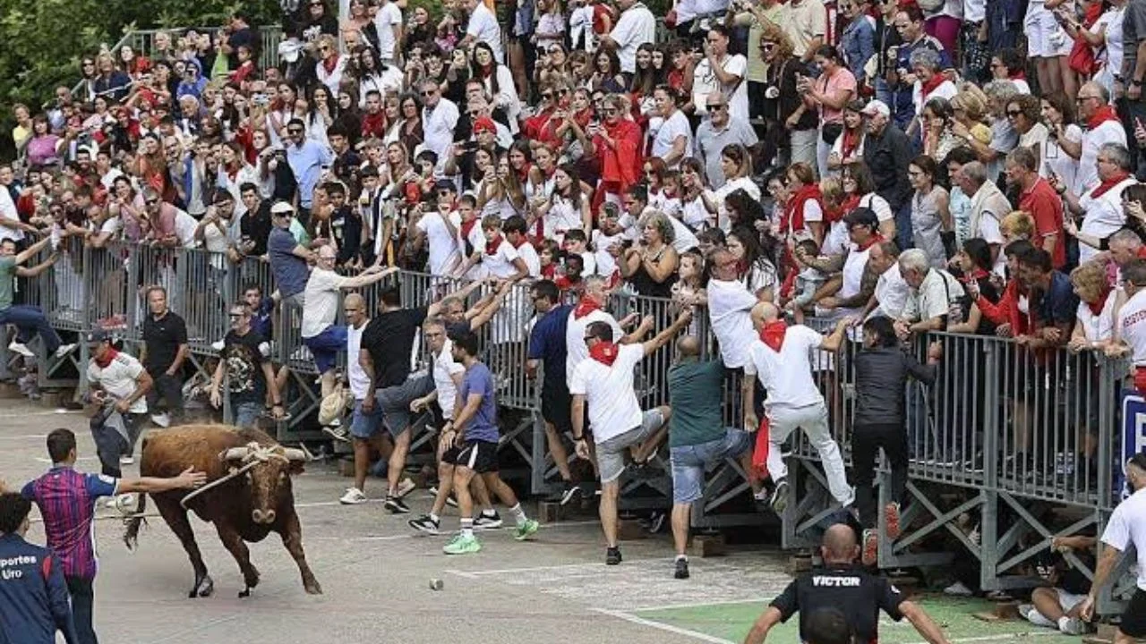 Leire San Pedro, esquela: muerte de la mujer herida en el Toro con Soga de Lodosa Imagen de Leire San Pedro, esquela: muerte de la mujer herida en el Toro con Soga de Lodosa