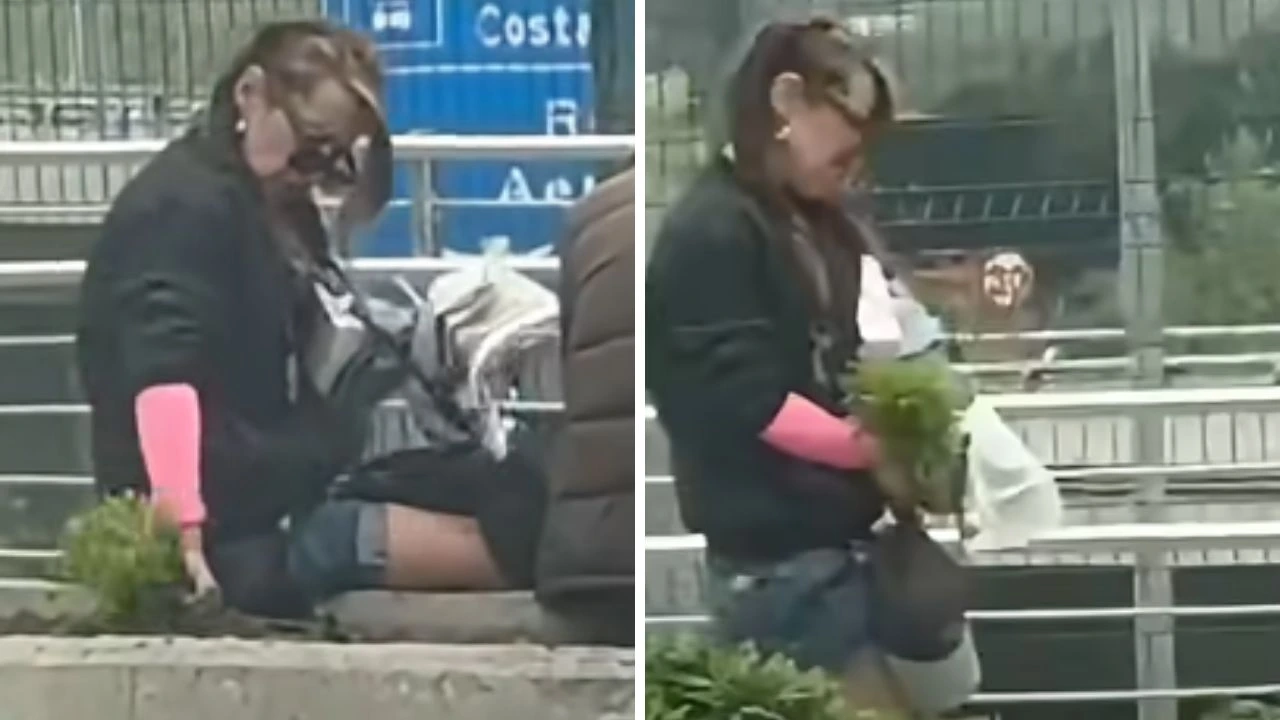 ¡No perdonan nada! Pareja es captada robando en un espacio público Imagen de ¡No perdonan nada! Pareja es captada robando en un espacio público