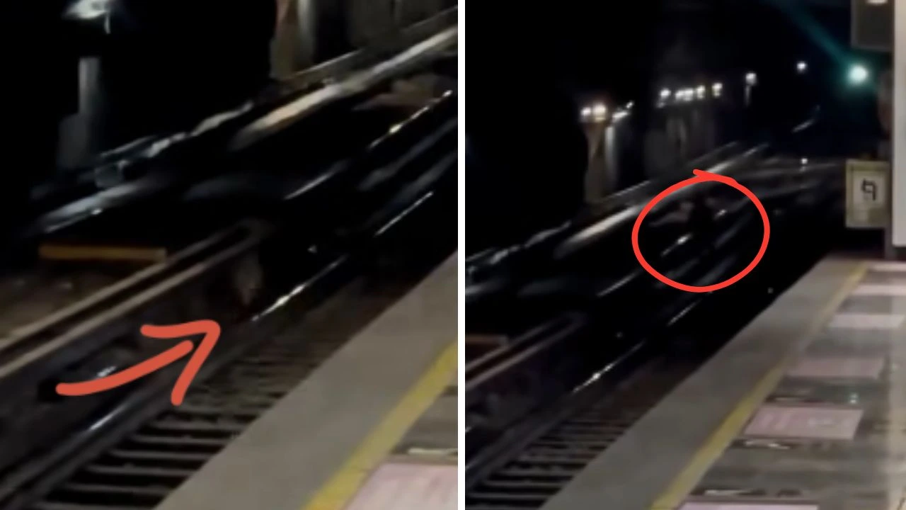 ¿Rata o duende? Captan extraña silueta en una estación de metro Imagen de ¿Rata o duende? Captan extraña silueta en una estación de metro