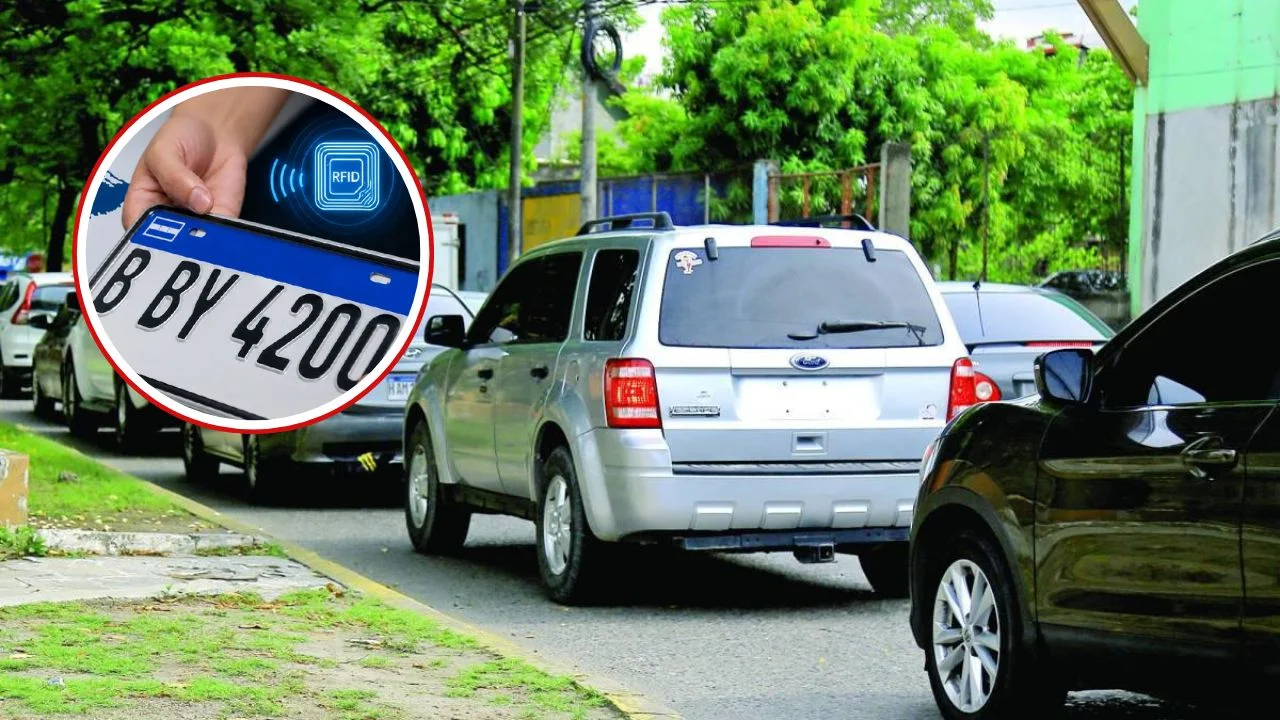 Al menos un año tardará el IP para entregar más de un millón de placas Imagen de Al menos un año tardará el IP para entregar más de un millón de placas