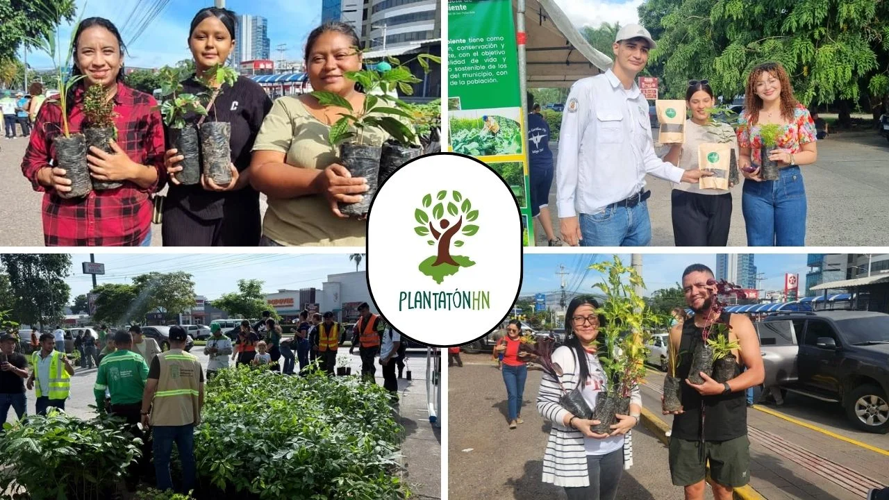 ¡Honduras, más verde! Un éxito, cuarta entrega de arbolitos en Plantatón HN 2026 Imagen de ¡Honduras, más verde! Un éxito, cuarta entrega de arbolitos en Plantatón HN 2026