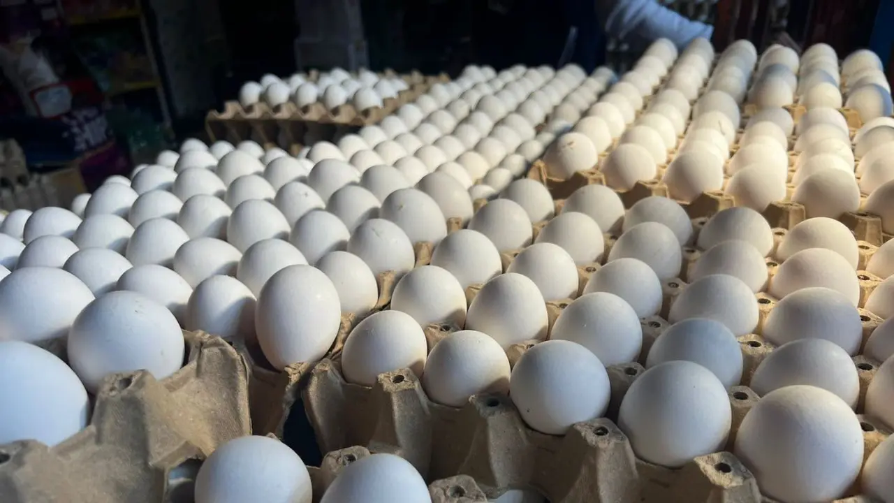Gobierno y sector avícola fijan precios del cartón de huevos Imagen de Gobierno y sector avícola fijan precios del cartón de huevos