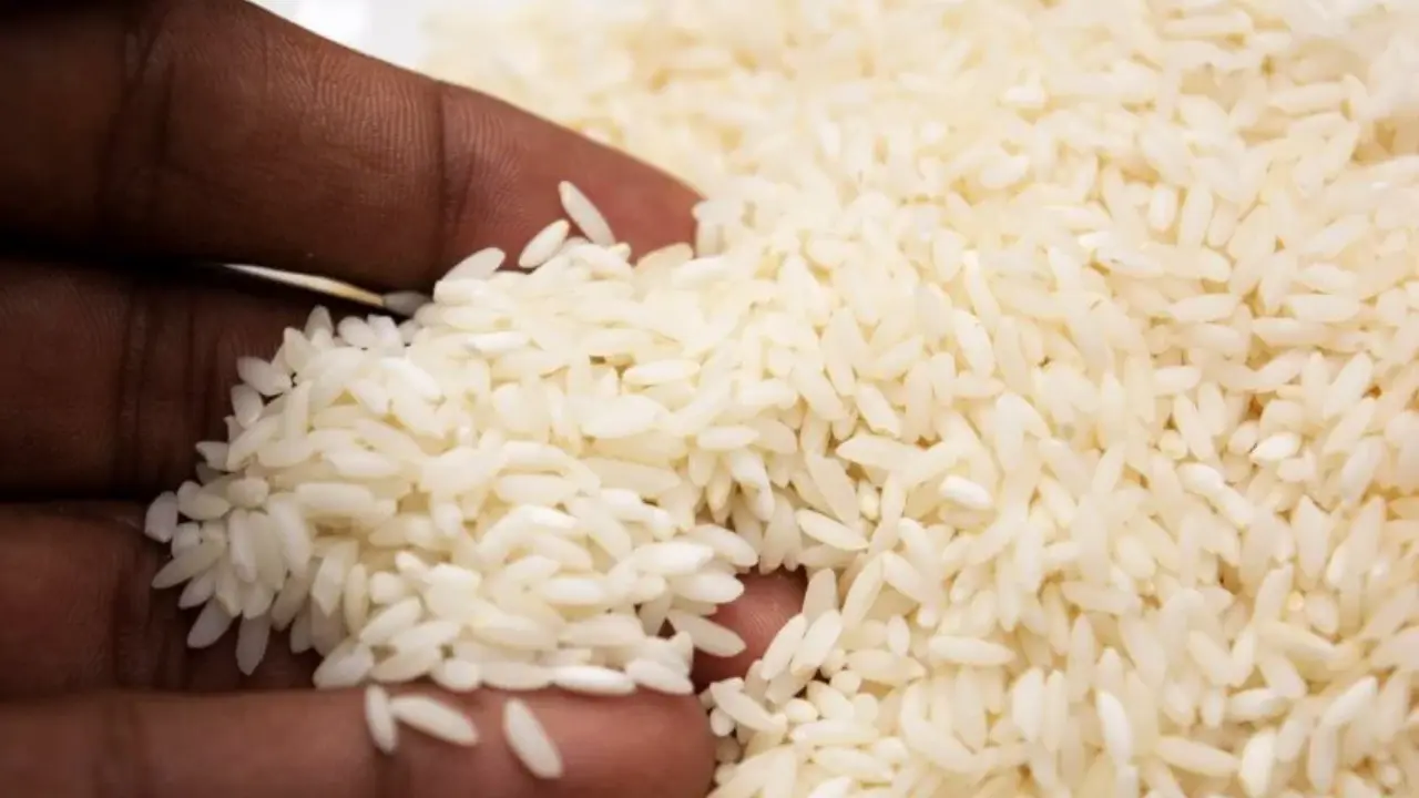 Productores de arroz listos para sembrar: piden a Banadesa que suelte los fondos Imagen de Productores de arroz listos para sembrar: piden a Banadesa que suelte los fondos