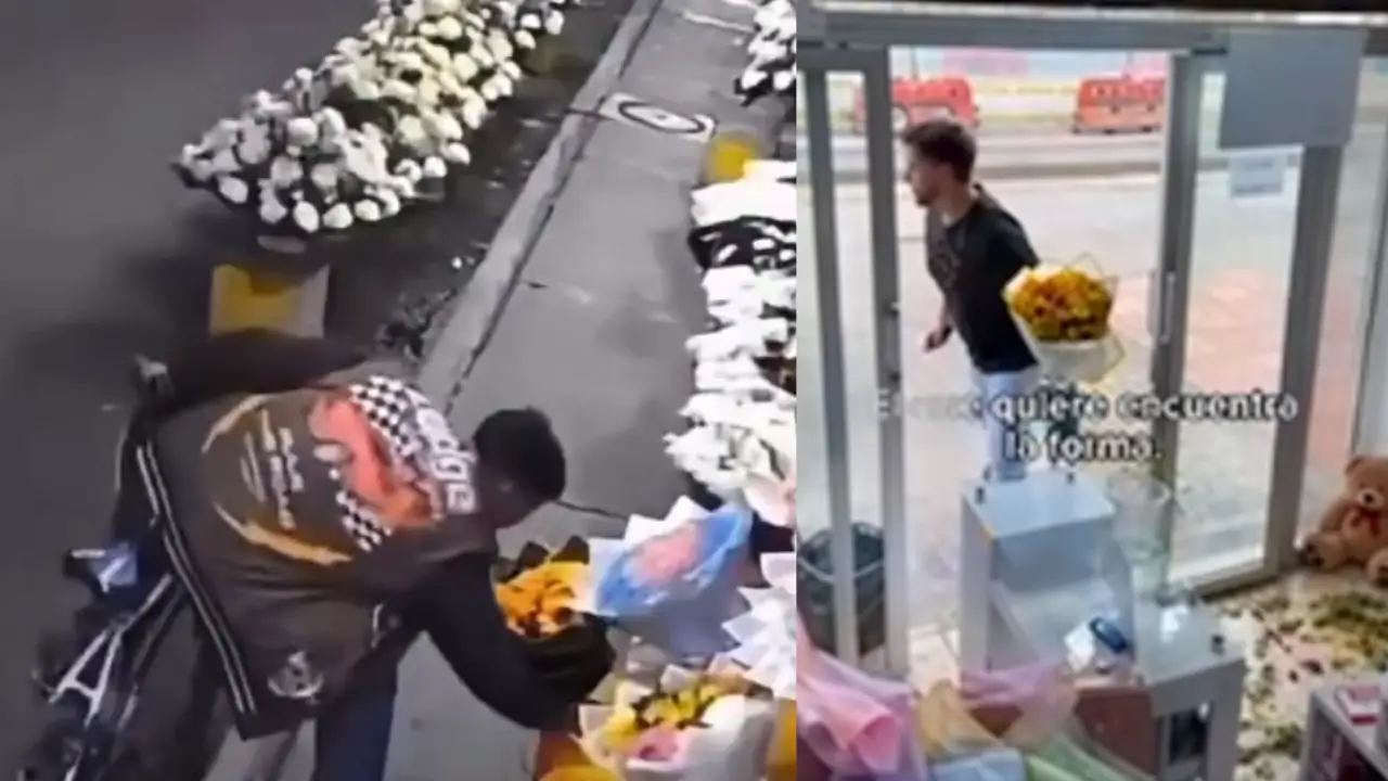 Hombres roban flores amarillas para 'complacer' a sus novias el 21 de septiembre Imagen de Hombres roban flores amarillas para 'complacer' a sus novias el 21 de septiembre
