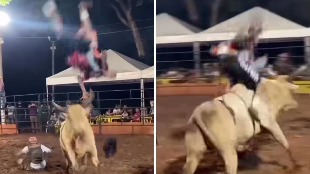 Video: se salva de milagro al caer sobre el toro que lo embistió Imagen de Video: se salva de milagro al caer sobre el toro que lo embistió