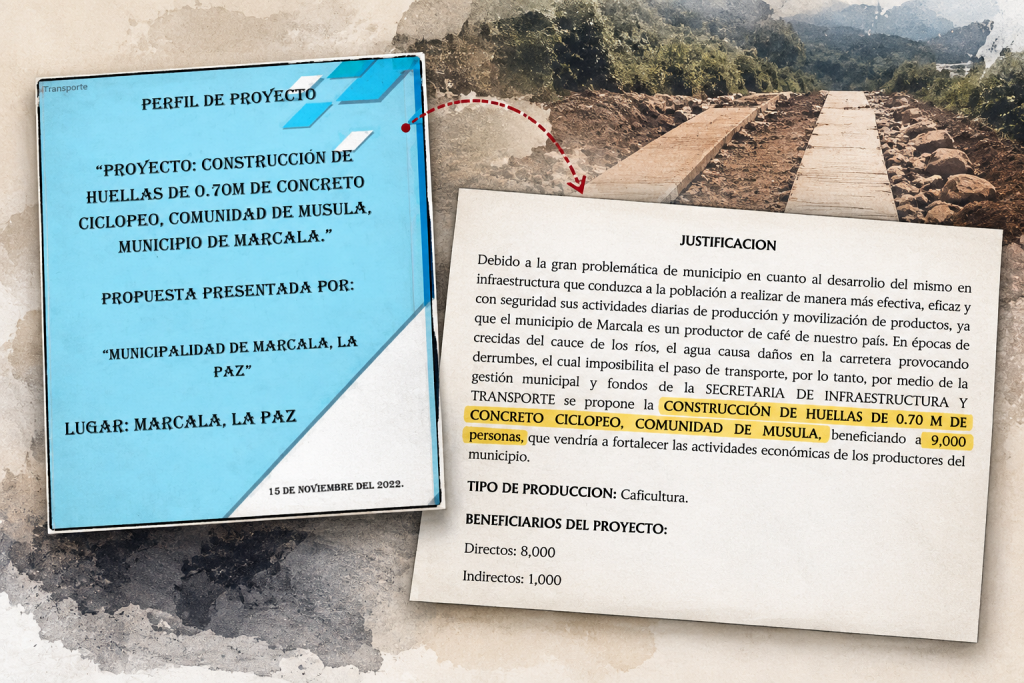 los proyectos