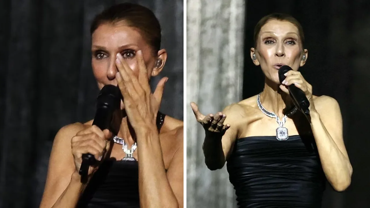 Collage d efotos de Céline Dion