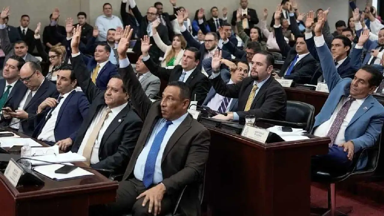 Diputados del Congreso Nacional