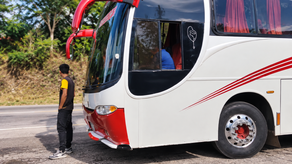 buses