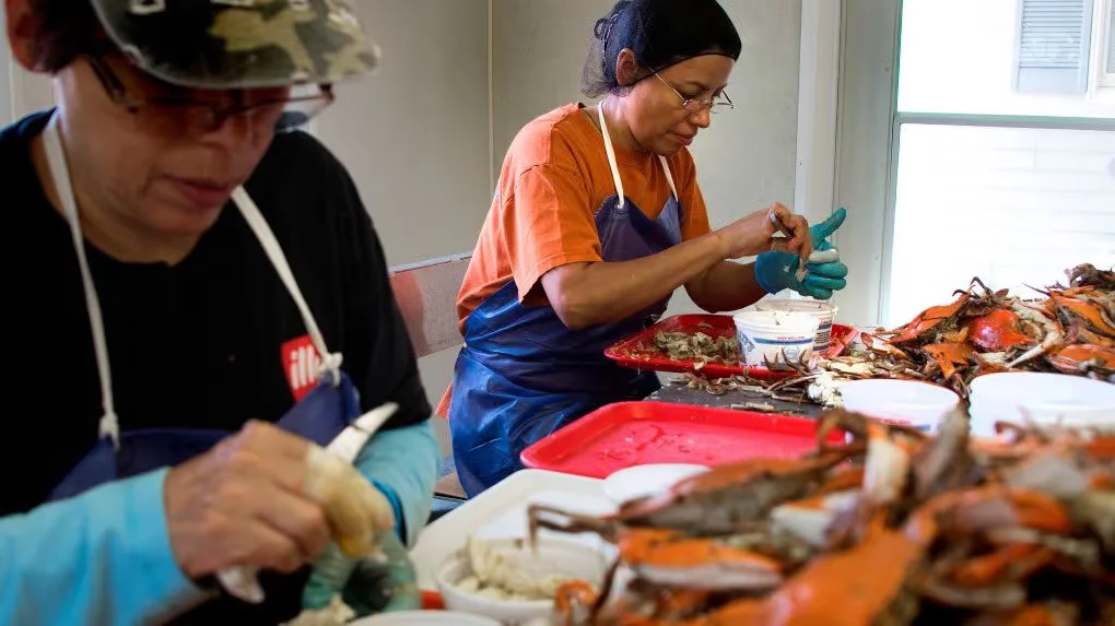 Personas trabajando en cocina