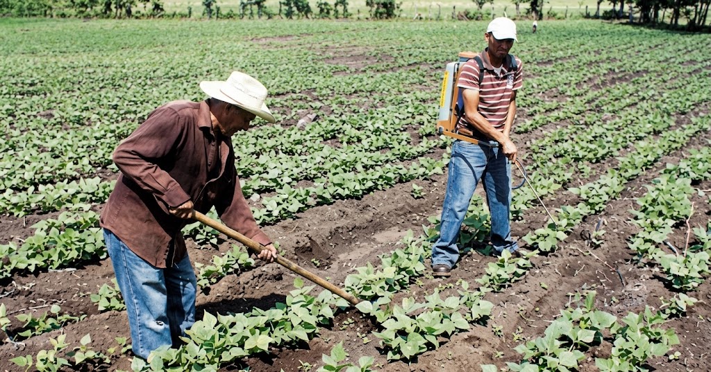 agricultores