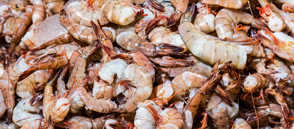 camarones