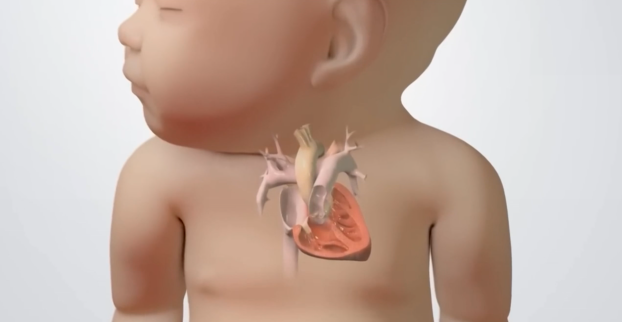bebé corazón