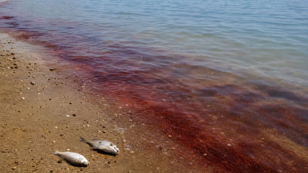 agua sangre