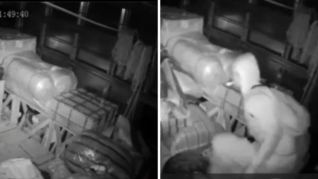 ladrones cajas transporte