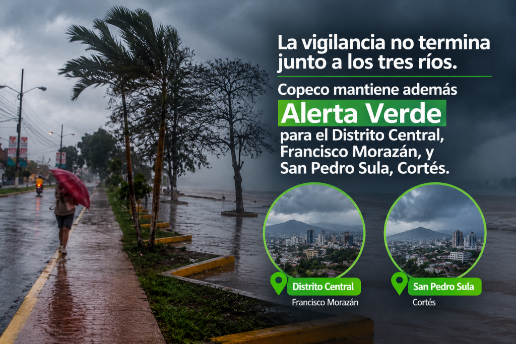 Alerta verde
