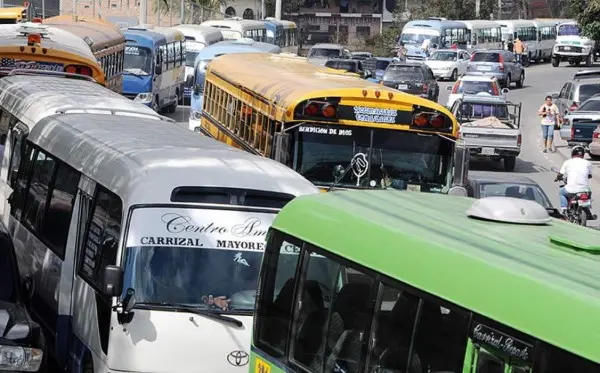buses