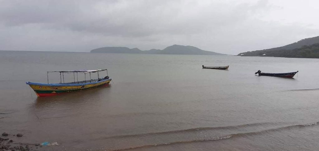 pesca