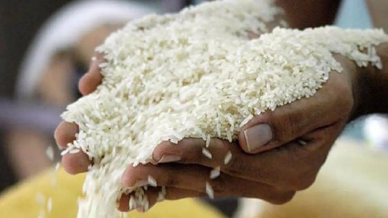 Una persona mostrando un puñado de arroz