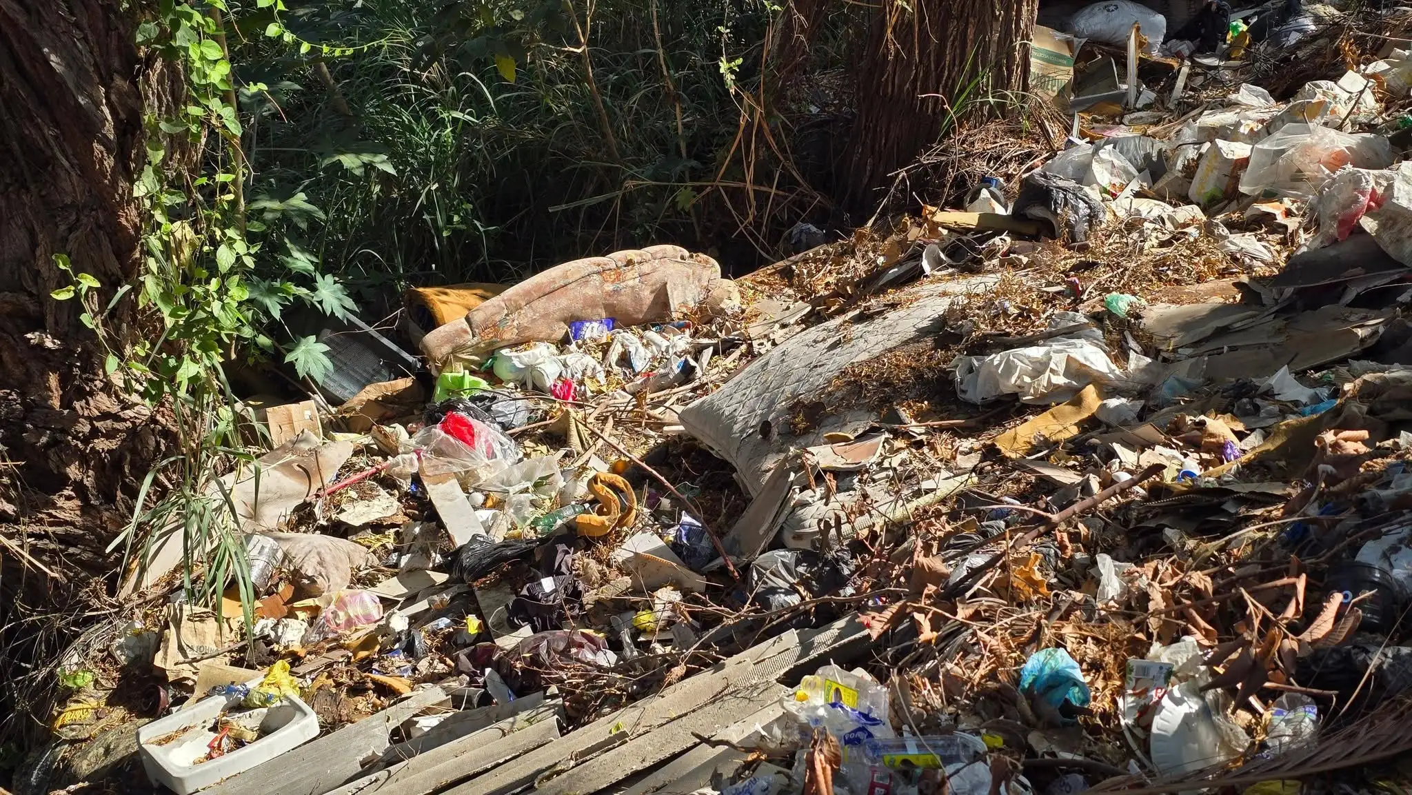 Basura