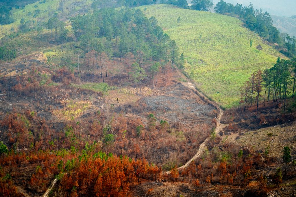 Catacamas, Olancho