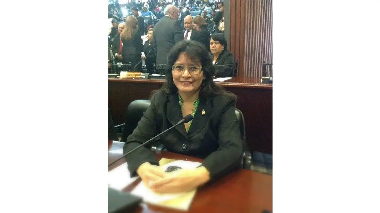 Delmis Carolina, cuando fue diputada suplente en el Congreso Nacional de Honduras.