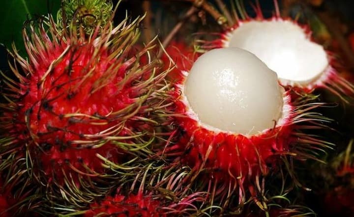 fruta hondureña
