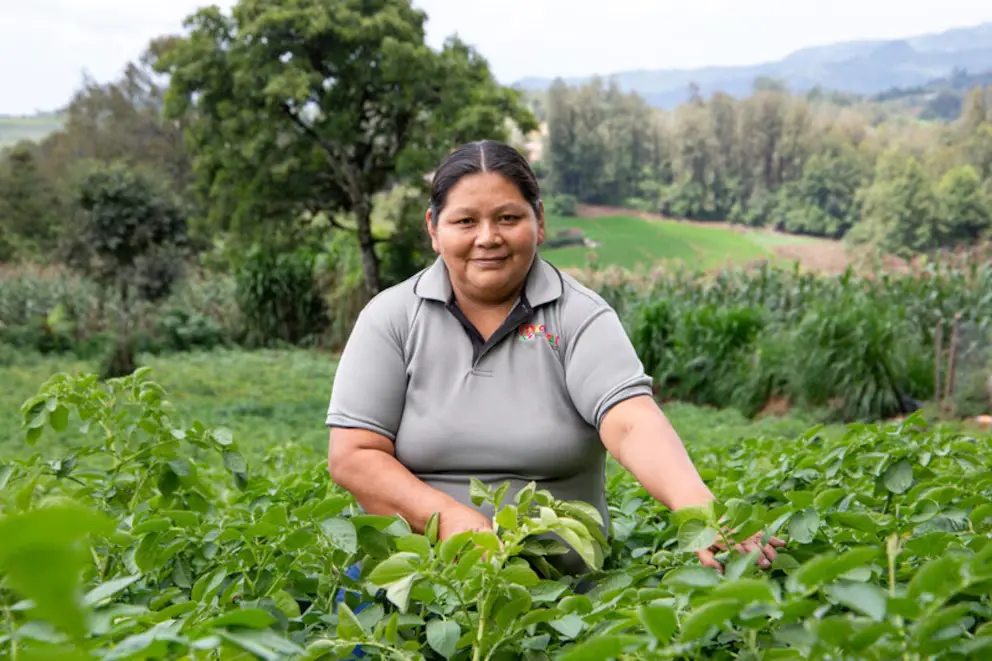 MUJER EN EL CAMPO